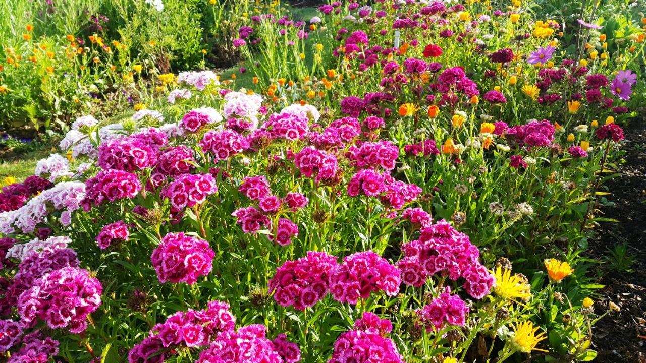 Blooming Delight Tauranga Leilighet Eksteriør bilde